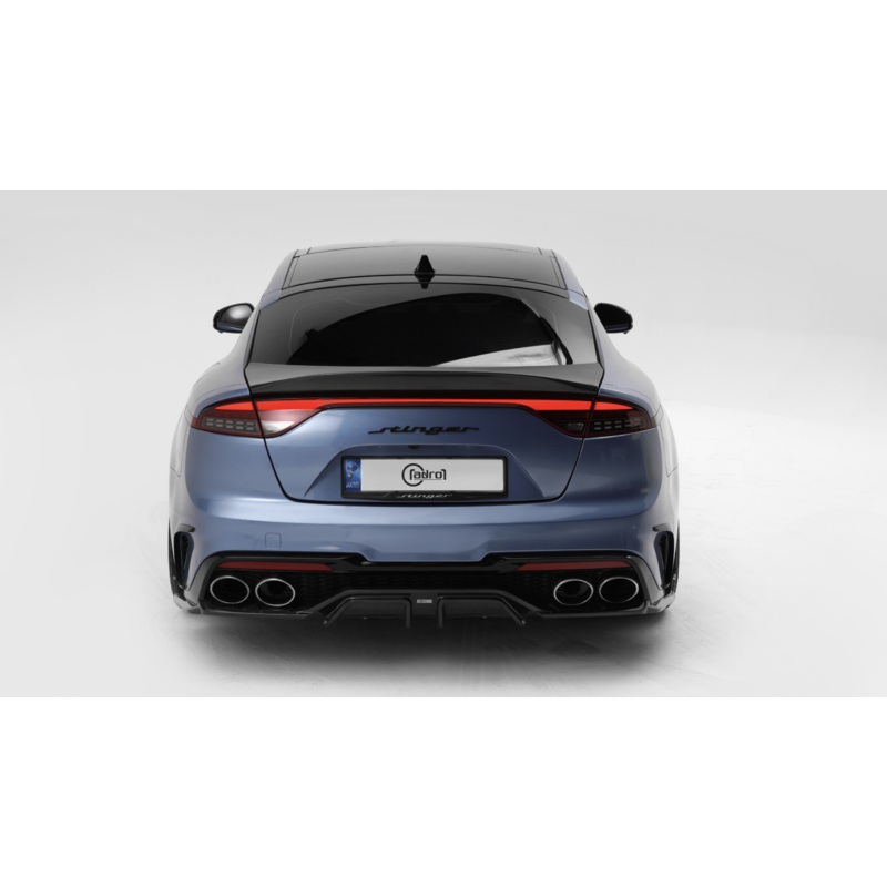 Kia Stinger Carbon Fiber Rear Diffuser Meister V3 2021-2023