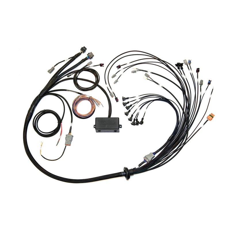 Haltech Elite 2000/2500  EV1 Terminated Wire Harness